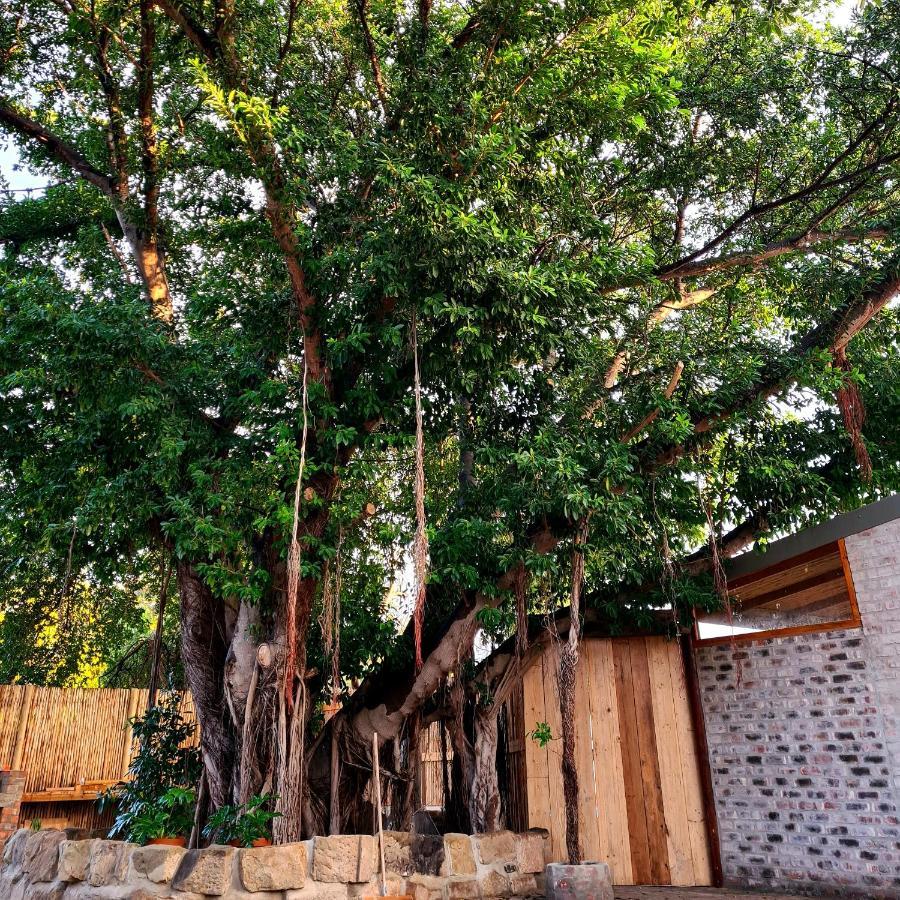 Uthando Backpackers Lodge Оудсхорн Экстерьер фото